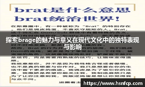 探索brage的魅力与意义在现代文化中的独特表现与影响